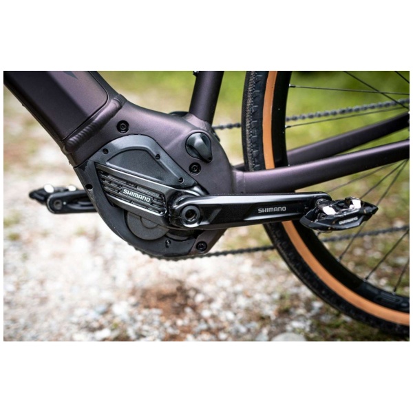 Giant Revolt E+ Pro XR - Afbeelding 7