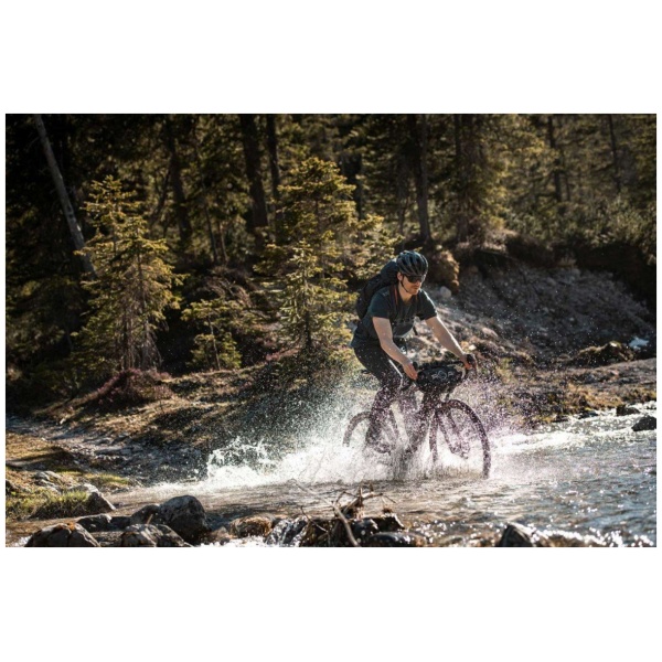 Giant Revolt E+ Pro XR - Afbeelding 3