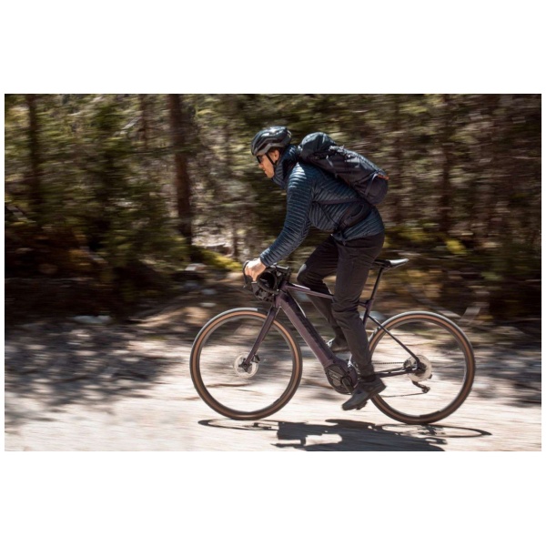 Giant Revolt E+ Pro XR - Afbeelding 2