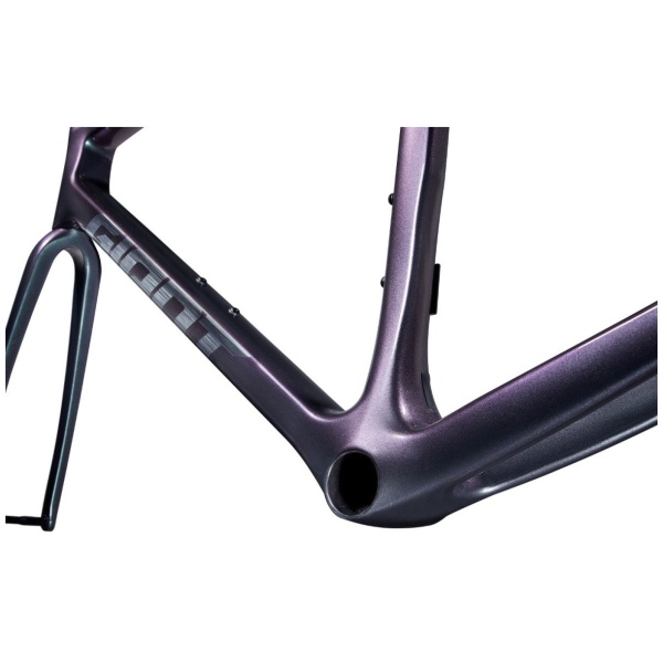 Giant TCR Advanced Pro Frameset - Afbeelding 4