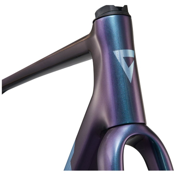 Giant TCR Advanced Pro Frameset - Afbeelding 2