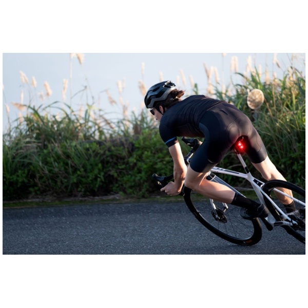 Giant Recon TL 200 Achterlicht - Afbeelding 2