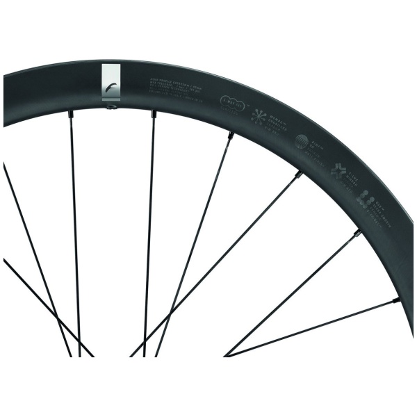 Fulcrum Speed 42 2WF AFS wielset - Afbeelding 10