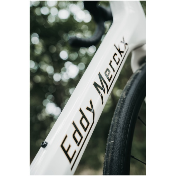 Eddy Merckx Mendrisio Shimano 105