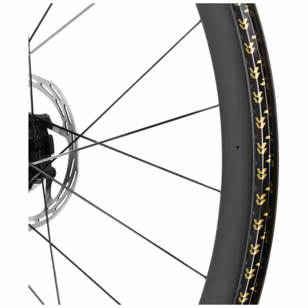 Gravaa x Reserve 42|49 Wielset