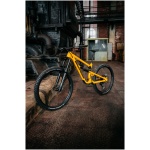 Nukeproof Mega 290 Alloy Pro