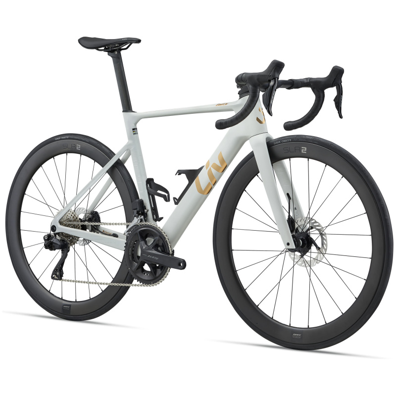 Liv EnviLiv Advanced 1