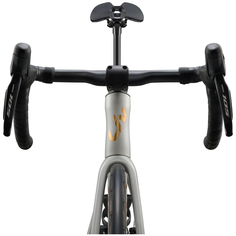 Liv EnviLiv Advanced 1
