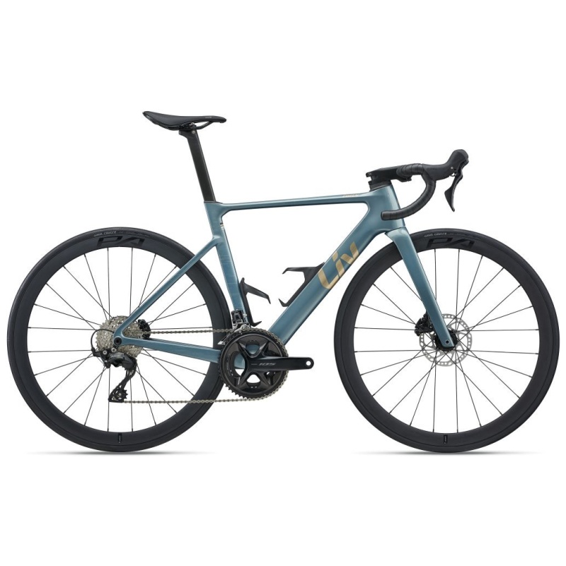 Liv EnviLiv Advanced 1