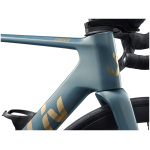 Liv EnviLiv Advanced 2