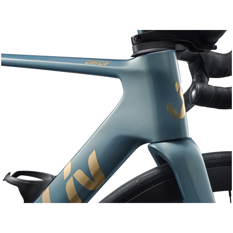 Liv EnviLiv Advanced 2