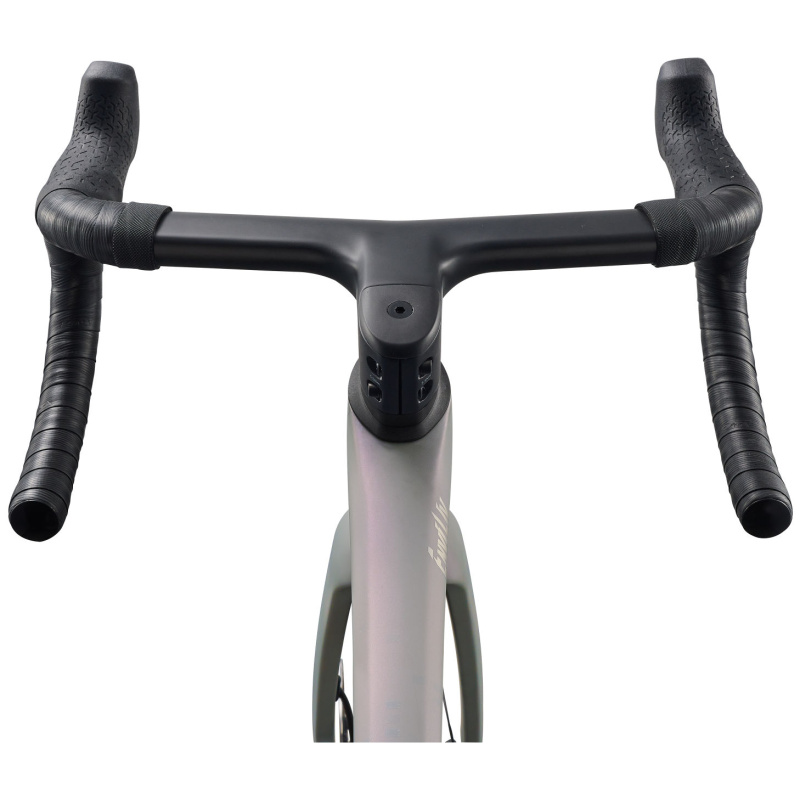 Liv Enviliv Advanced Pro 1 AXS